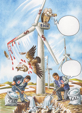 eolicas 4.jpg (53578 bytes)